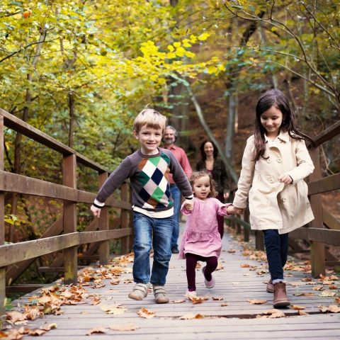 Interaktive Sitzungen